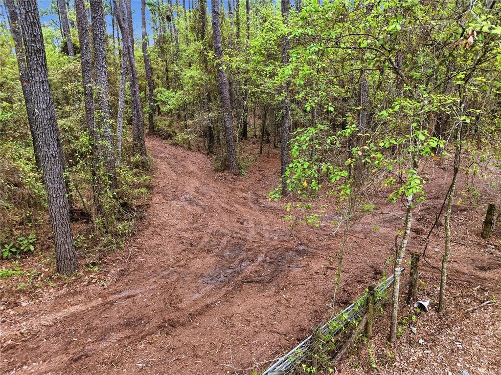 231 Northwest County Road Gainesville, FL 32609 - Photo 9 of 14