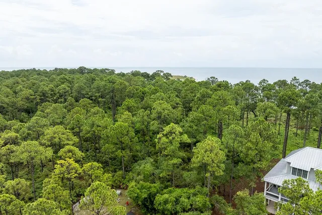 $185,000 | 158 Oak Dune Ln Street, Sopchoppy, FL 32358