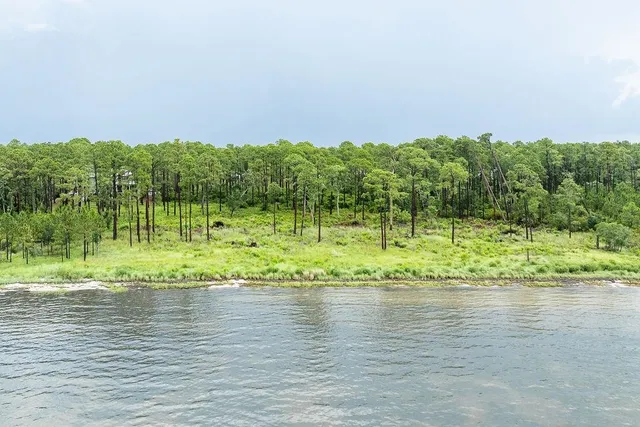 $185,000 | 158 Oak Dune Ln Street, Sopchoppy, FL 32358