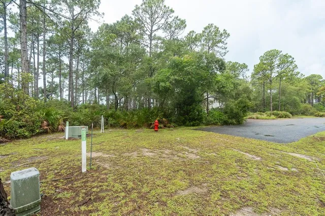 $185,000 | 158 Oak Dune Ln Street, Sopchoppy, FL 32358