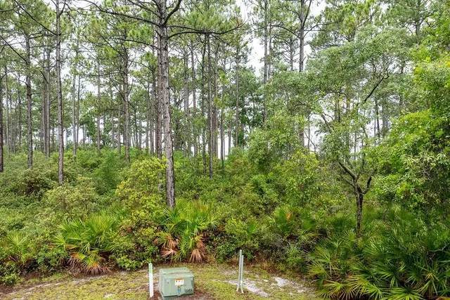 $185,000 | 158 Oak Dune Ln Street, Sopchoppy, FL 32358