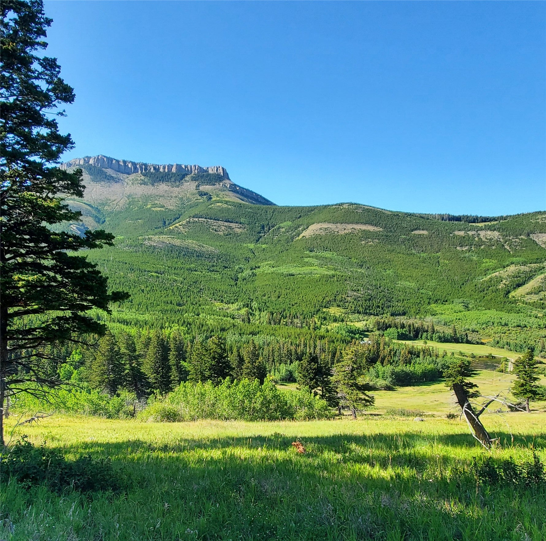 3384 Joslin Creek Road Augusta, MT 59410 - Photo 11 of 17 Gallery Image 11