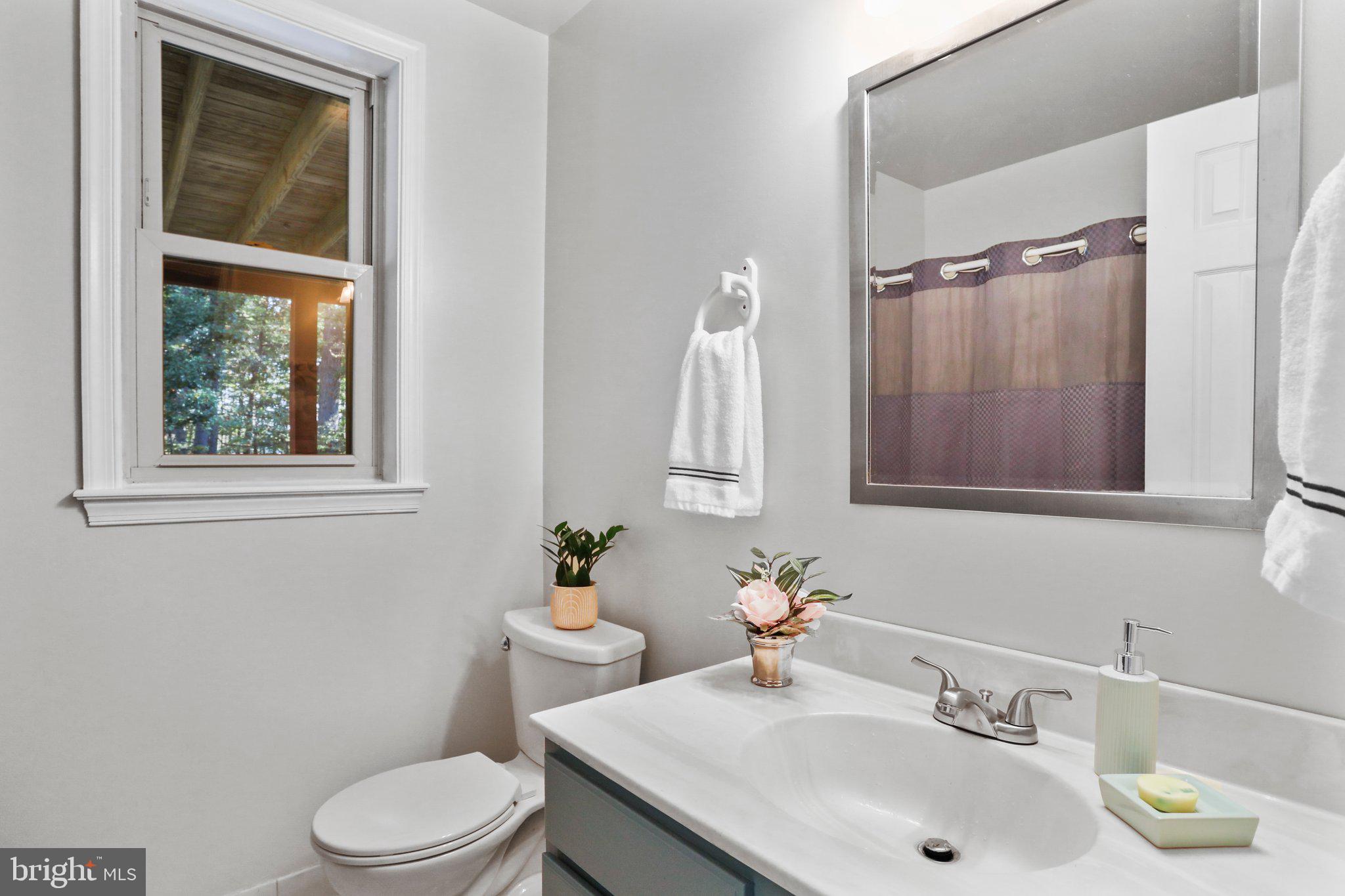 139 Nazareth Drive Fort Valley, VA 22652 - Photo 15 of 31 Full bath Basement