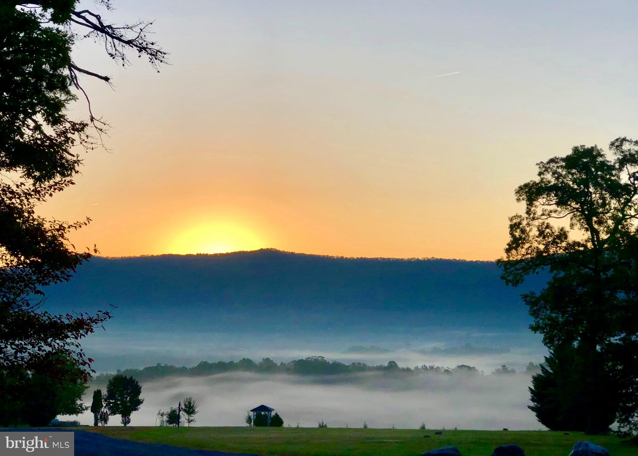 139 Nazareth Drive Fort Valley, VA 22652 - Photo 2 of 31 Morning view down the street