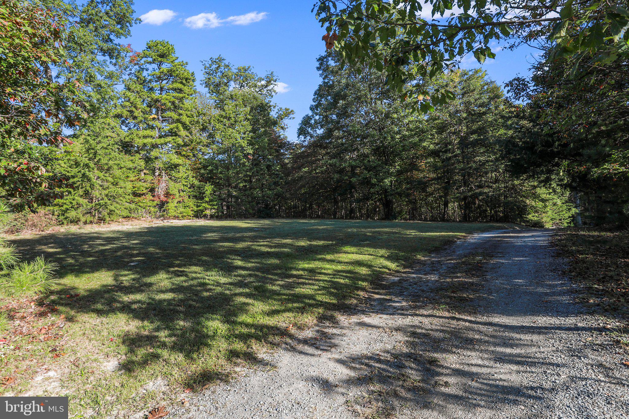 139 Nazareth Drive Fort Valley, VA 22652 - Photo 29 of 31 With nearly 3 acres, front yard lawn by woods