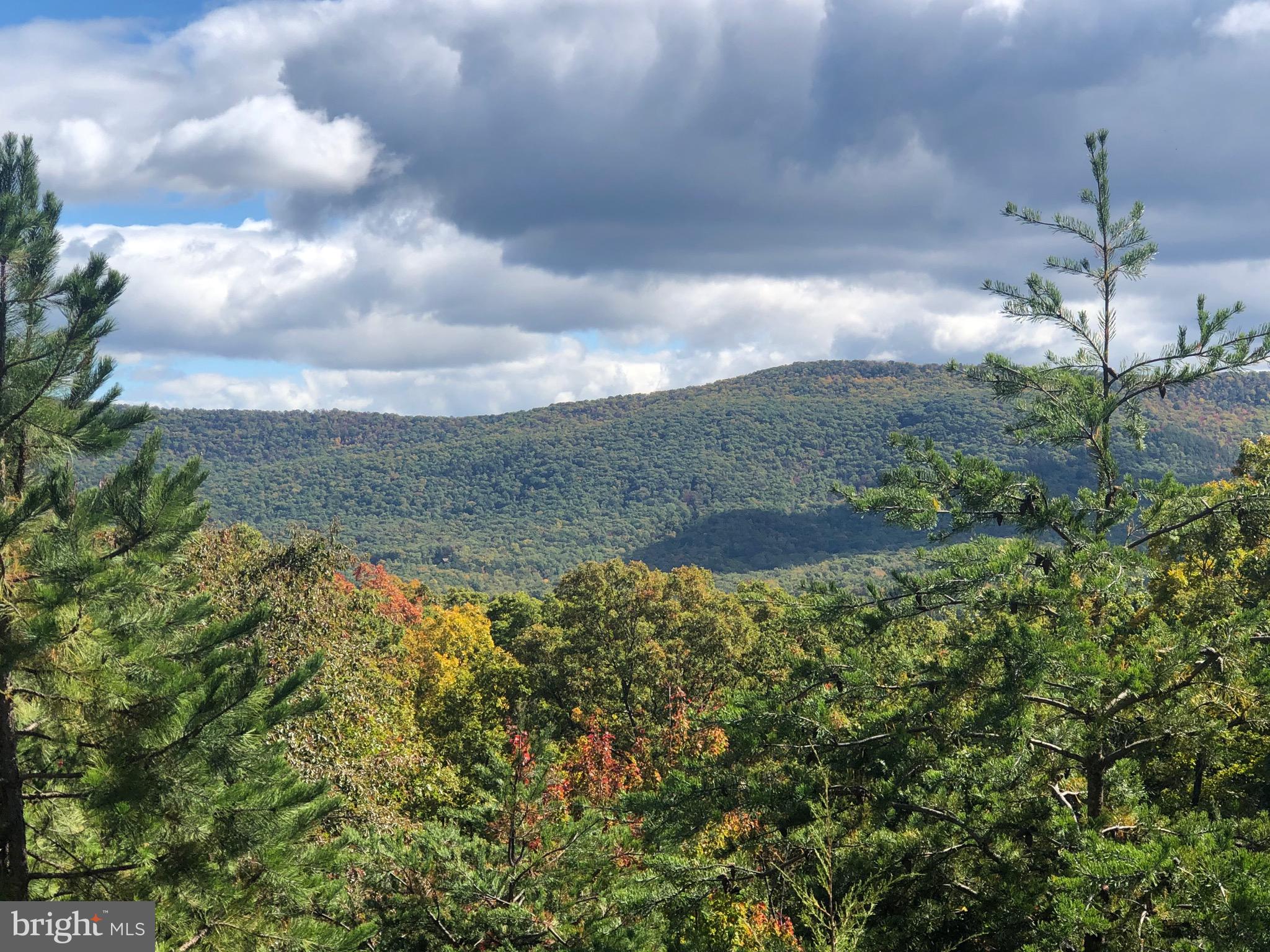 139 Nazareth Drive Fort Valley, VA 22652 - Photo 31 of 31 The conservation area of the neighborhood-11 acres