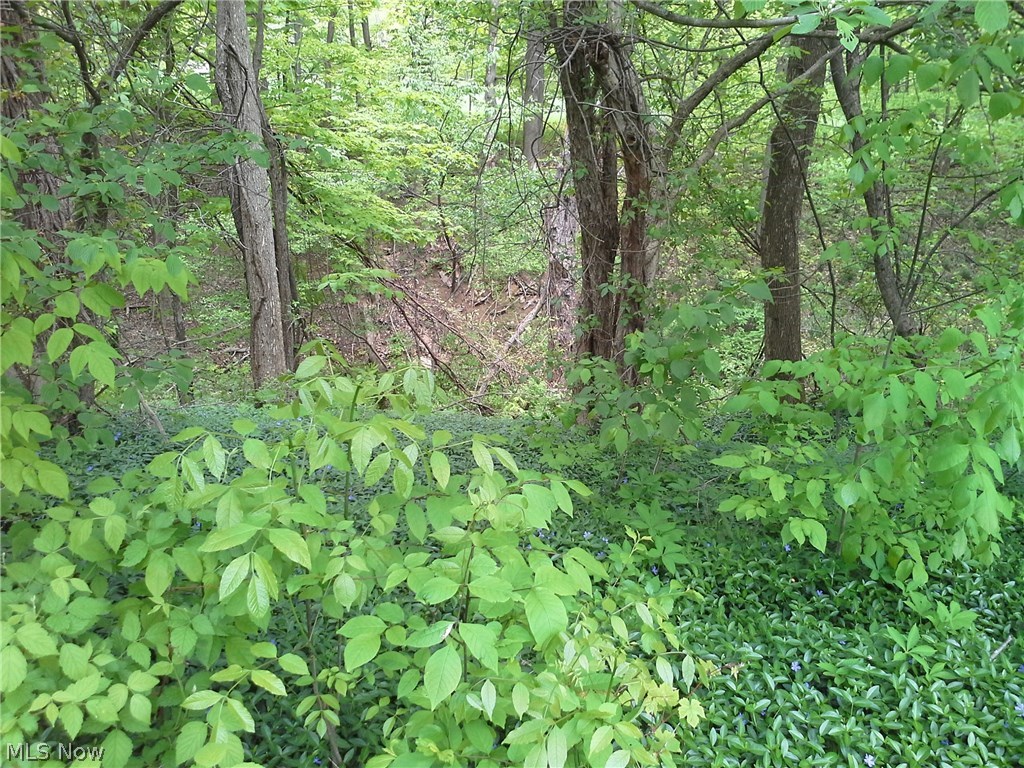 17295 Old State Road Middlefield, OH 44062 - Photo 31 of 34