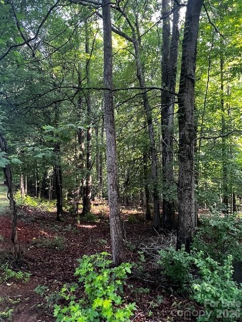 8112 Bay View Drive, Unit 32 Belmont, NC 28012 - Photo 2 of 7 a view of outdoor space and garden