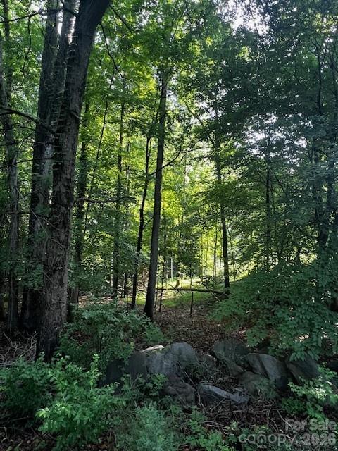 8112 Bay View Drive, Unit 32 Belmont, NC 28012 - Photo 3 of 7 a view of outdoor space and green space