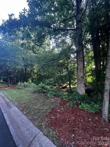 a view of a yard with plants and trees