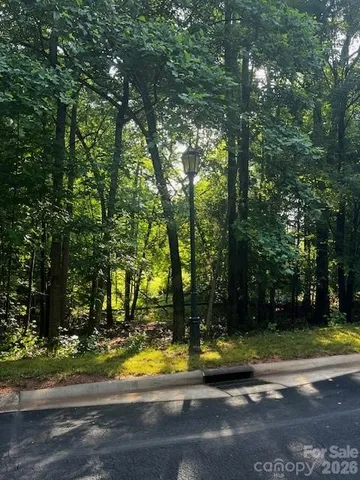 a view of a yard with yellow lighting