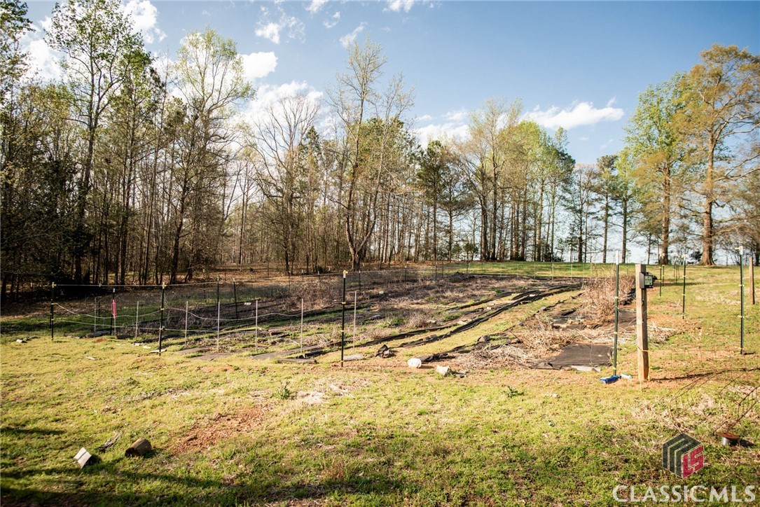 385 Steele Road Comer, GA 30629 - Photo 21 of 29