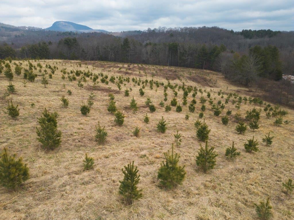 Tbd Long Mountain Road Southwest Willis, VA 24380 - Photo 12 of 66 Gallery Image 12