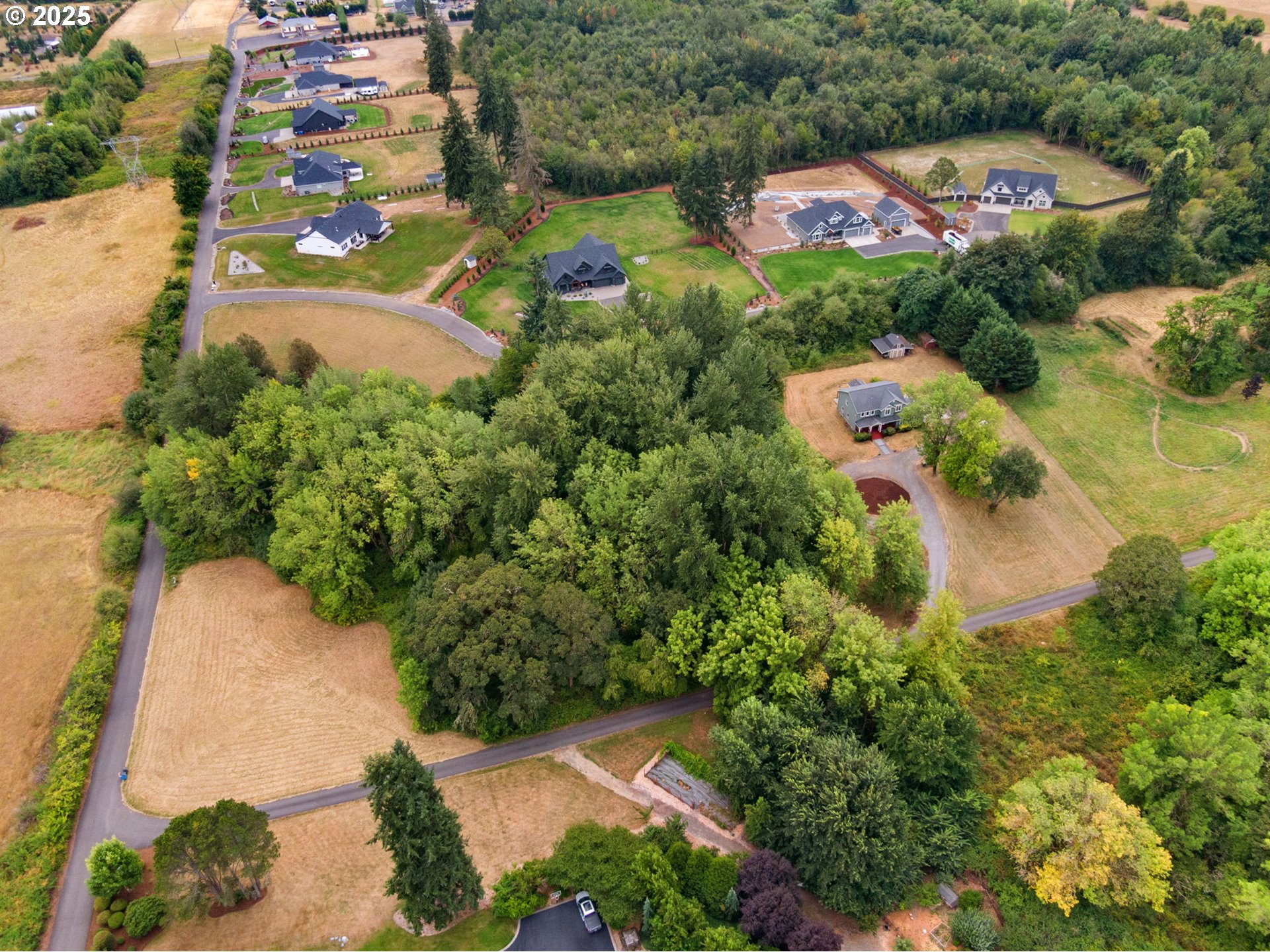 20504 Northeast 40th Avenue Ridgefield, WA 98642 - Photo 45 of 48