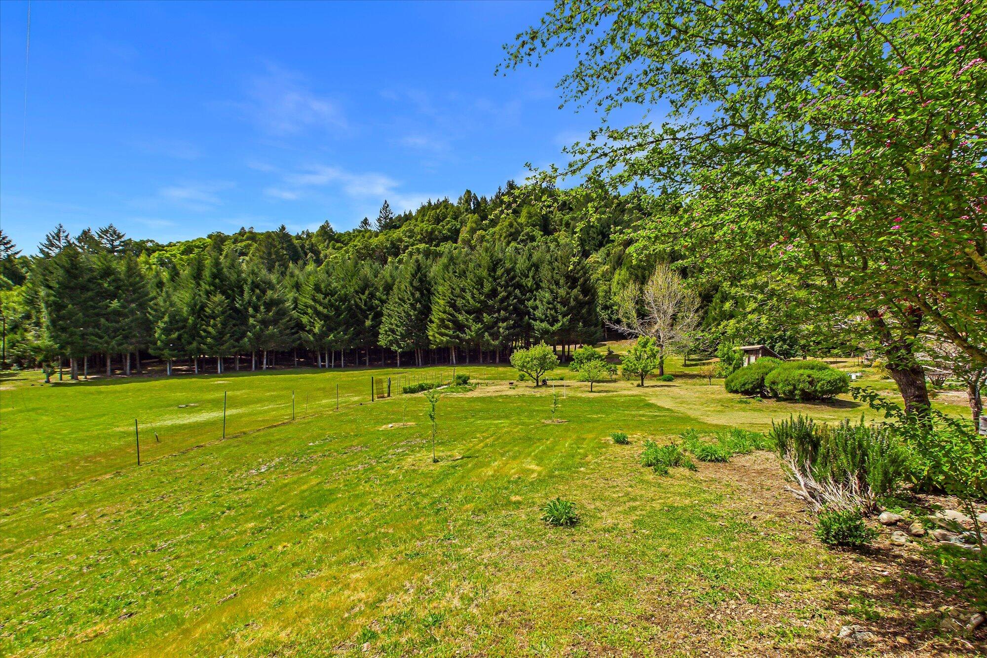 303 Hungry Gulch Road Whitethorn, CA 95589 - Photo 49 of 58