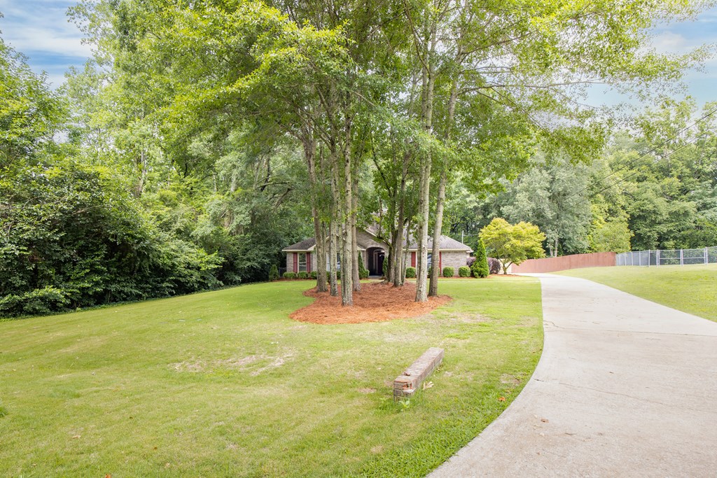 53 Lee Road Phenix City, AL 36870 - Photo 4 of 56