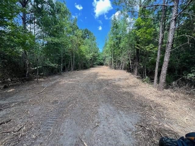 10-ac Laird Road Florala, AL 36442 - Photo 3 of 21 Gallery Image 3