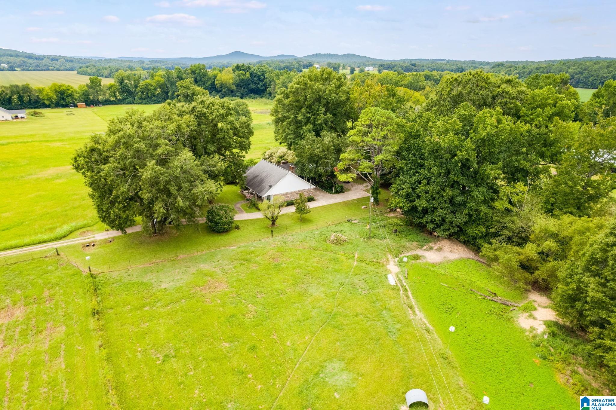 524 Twin Churches Road Munford, AL 36268 - Photo 11 of 43