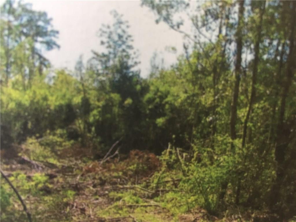 43362 Heidelberg Road Franklinton, LA 70438 - Photo 9 of 10 Gallery Image 9