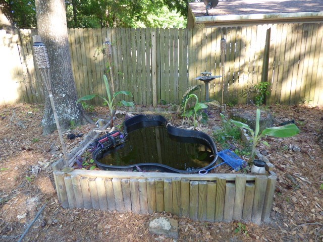 109 Ridgewood Drive Daphne, AL 36526 - Photo 18 of 20 koi pond