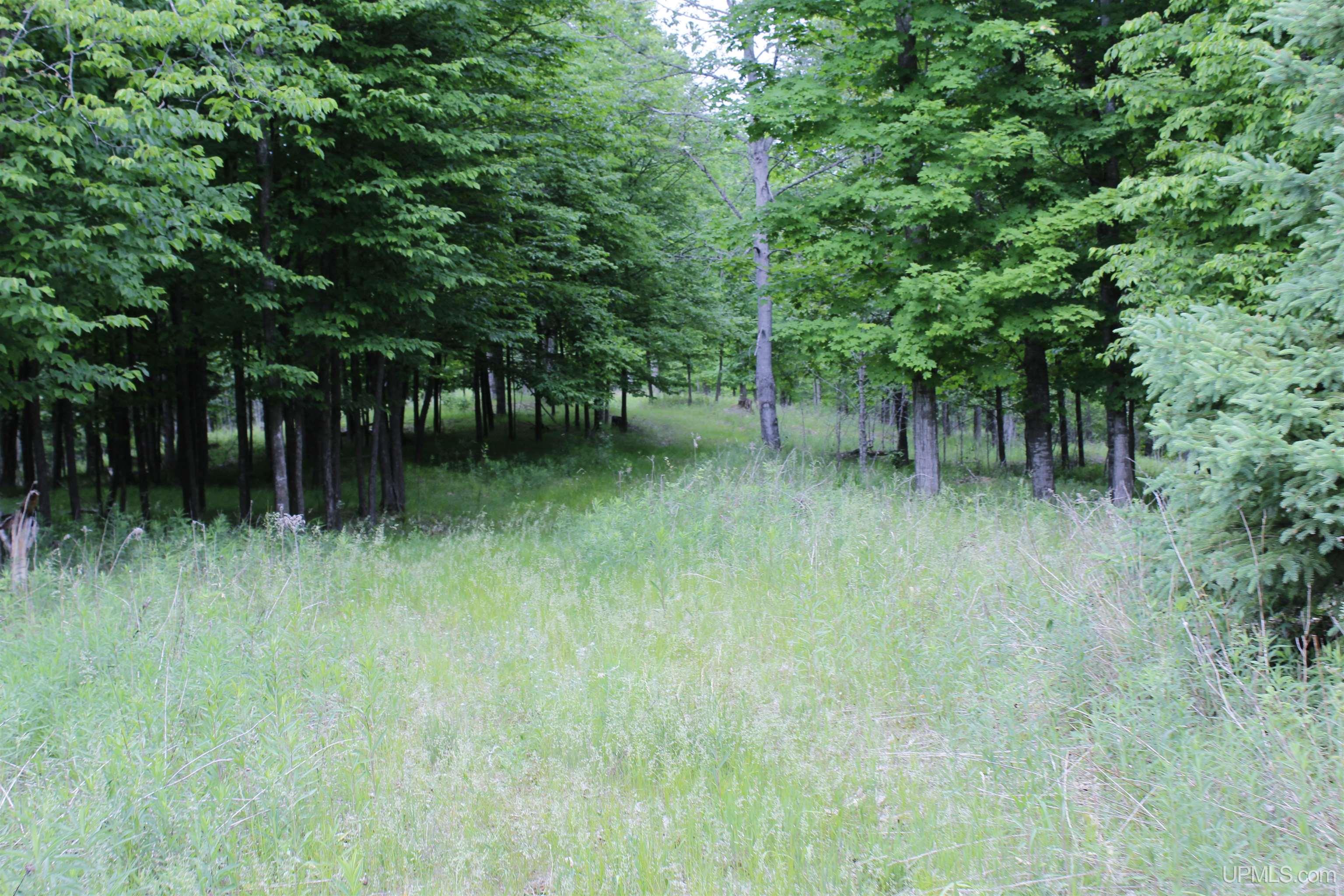W2588 31 Lane Daggett, MI 49821 - Photo 38 of 58
