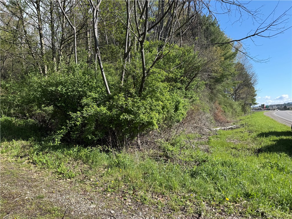 9155 Smith Road Lindley, NY 14870 - Photo 3 of 33