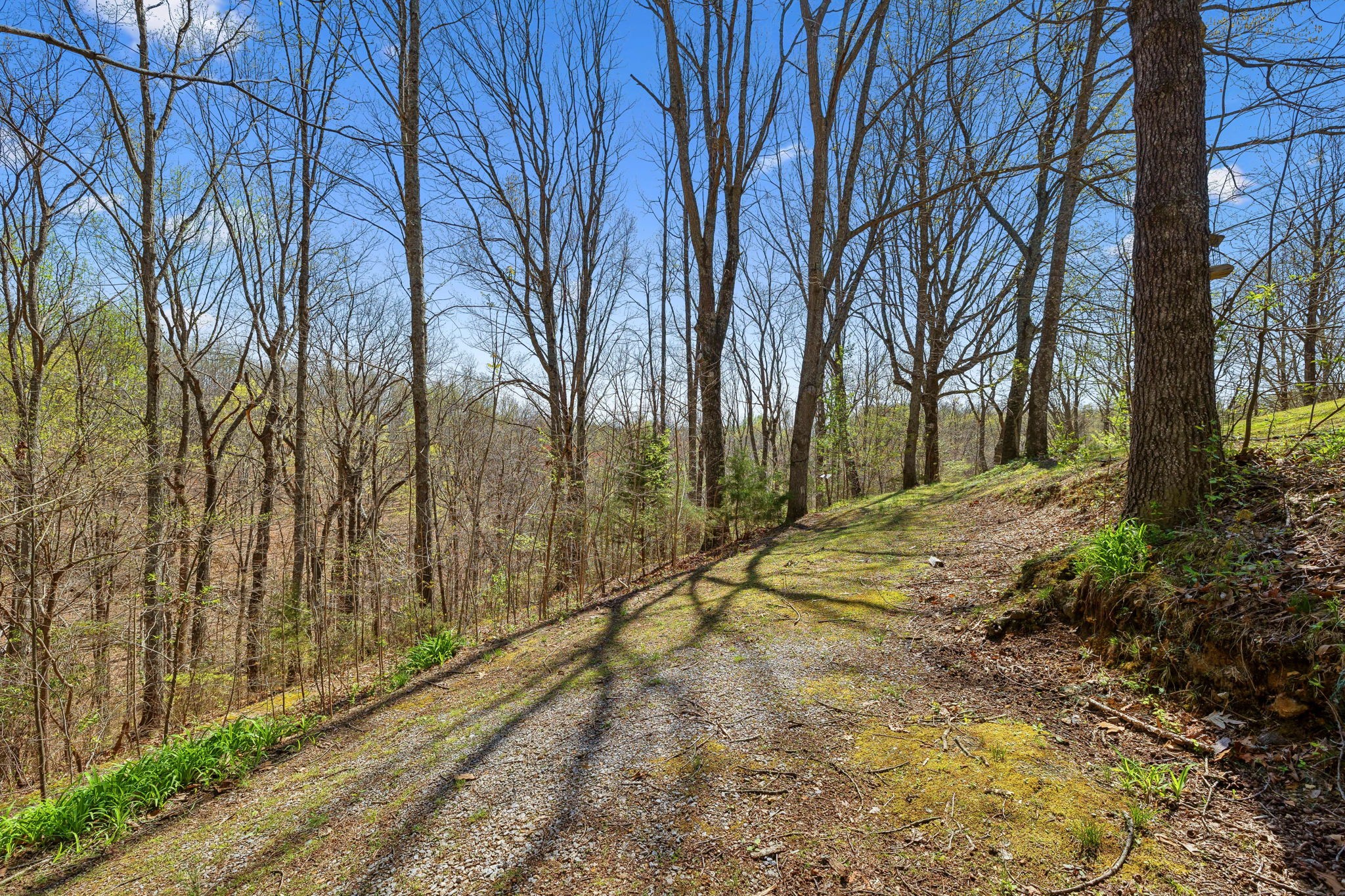 429 Rivendell Road Woodbury, TN 37190 - Photo 55 of 69 Gallery Image 55