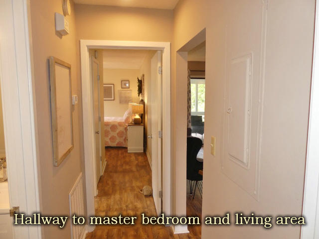 809 Club Cottage Road Edisto Island, SC 29438 - Photo 33 of 53 34