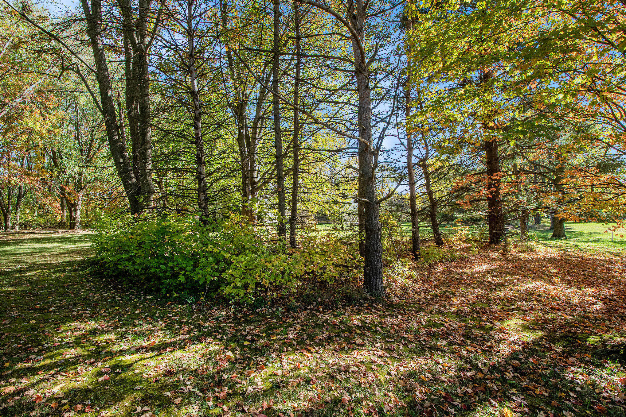 5258 92nd Street Southeast Caledonia, MI 49316 - Photo 58 of 59 Yard