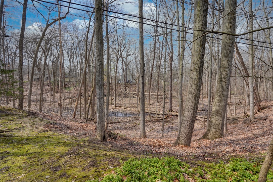 43 Crystal Spring Lane Perinton, NY 14450 - Photo 41 of 43