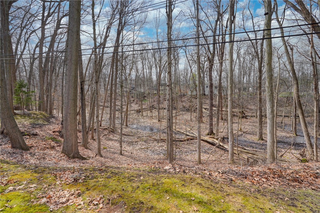 43 Crystal Spring Lane Perinton, NY 14450 - Photo 42 of 43