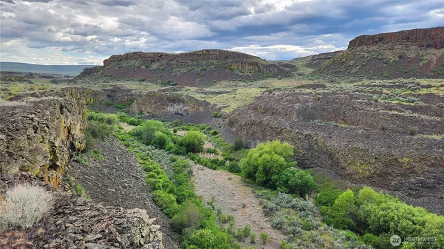 a view of a mountain in the distance in a field