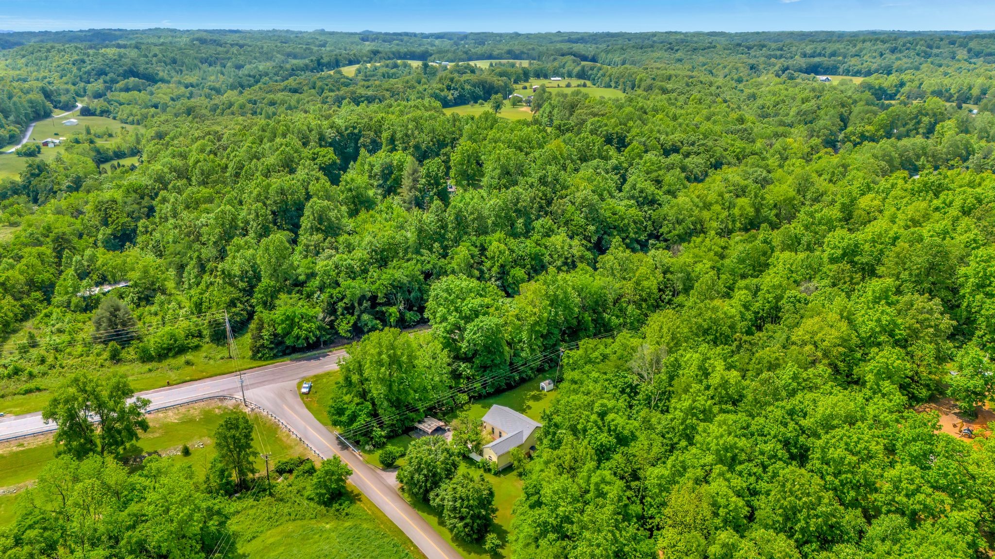 1005 Les Brown Road Bethpage, TN 37022 - Photo 2 of 57 a view of a lush green forest with lots of trees