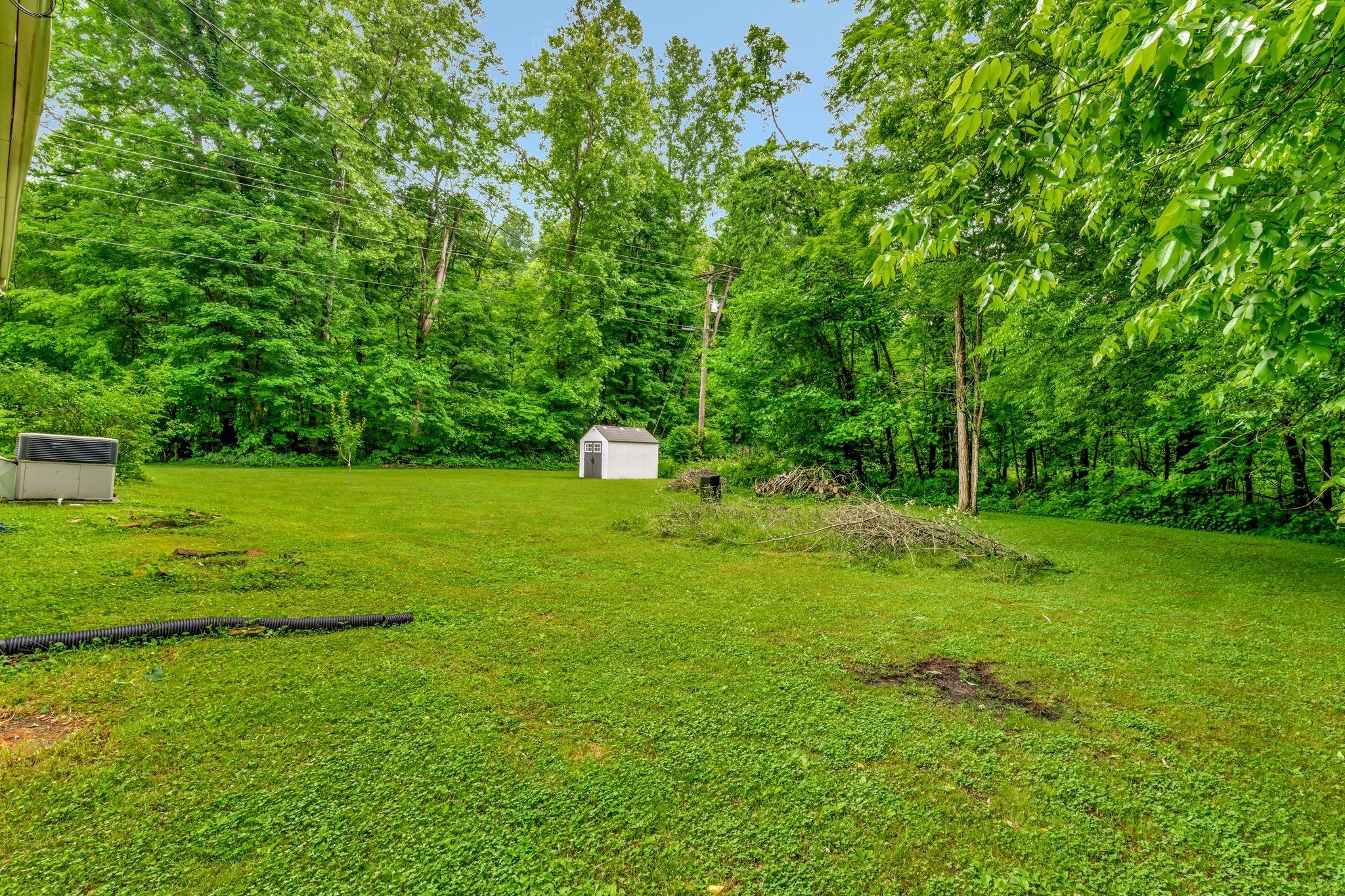 1005 Les Brown Road Bethpage, TN 37022 - Photo 33 of 57 a view of a trees with a yard