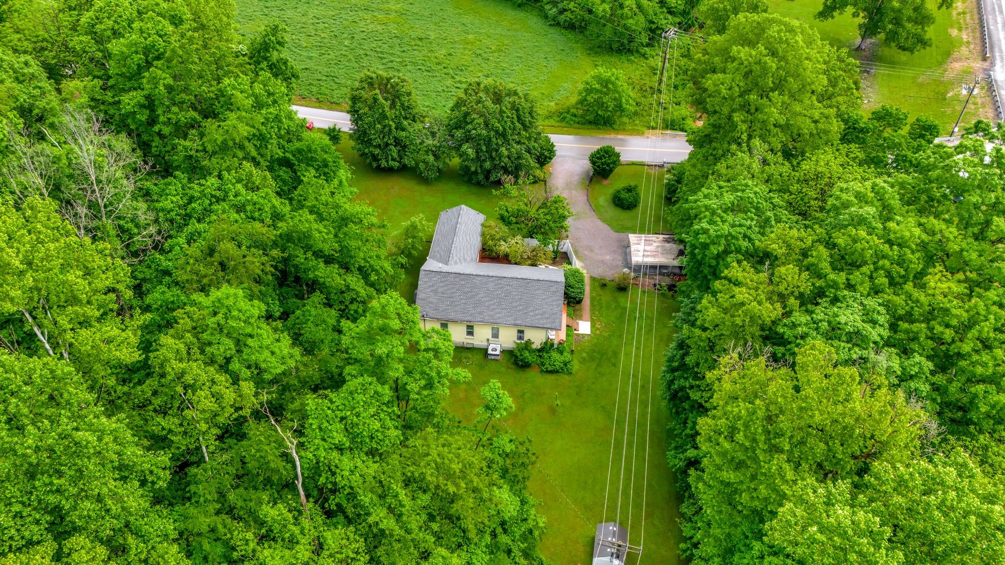 1005 Les Brown Road Bethpage, TN 37022 - Photo 38 of 57 a view of a garden with plants