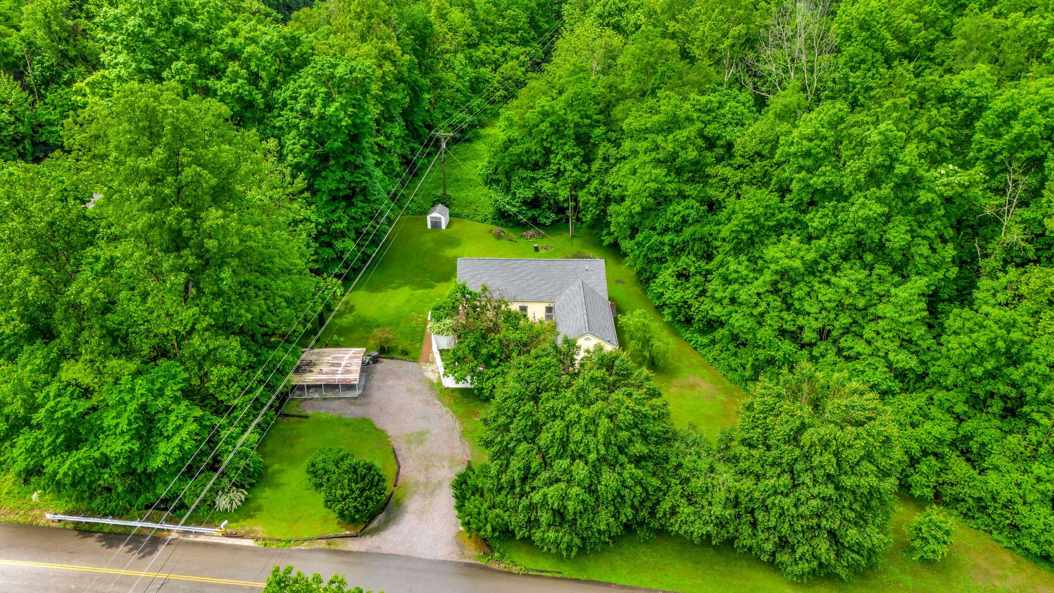 1005 Les Brown Road Bethpage, TN 37022 - Photo 4 of 57 a view of a garden