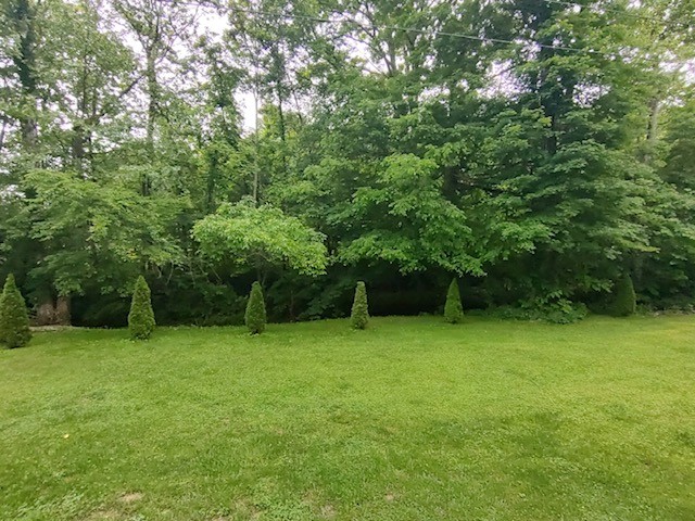 1005 Les Brown Road Bethpage, TN 37022 - Photo 45 of 57 a view of a green yard