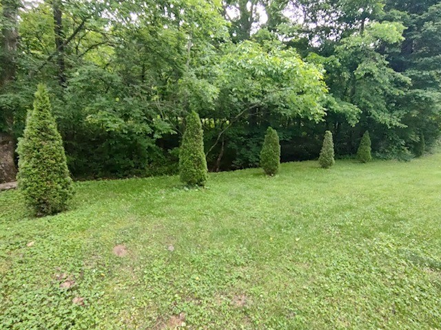 1005 Les Brown Road Bethpage, TN 37022 - Photo 46 of 57 a view of an outdoor space and a yard