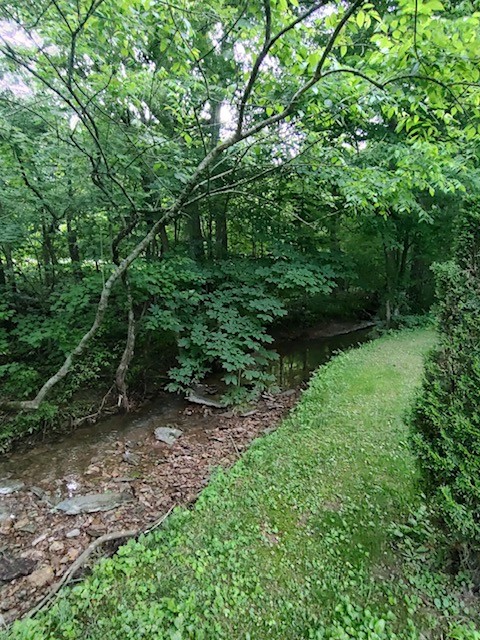 1005 Les Brown Road Bethpage, TN 37022 - Photo 47 of 57 a view of a yard with large trees