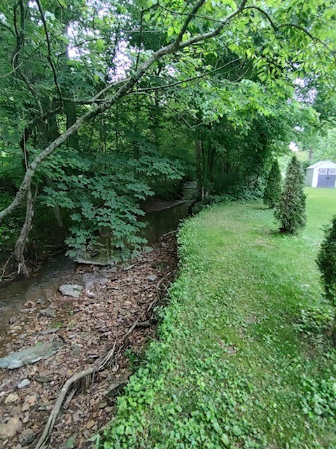 1005 Les Brown Road Bethpage, TN 37022 - Photo 48 of 57 a lush green forest with lots of trees