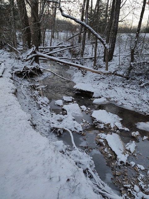 1005 Les Brown Road Bethpage, TN 37022 - Photo 56 of 57 a view of a dry yard with wooden fence