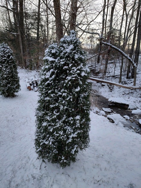 1005 Les Brown Road Bethpage, TN 37022 - Photo 57 of 57