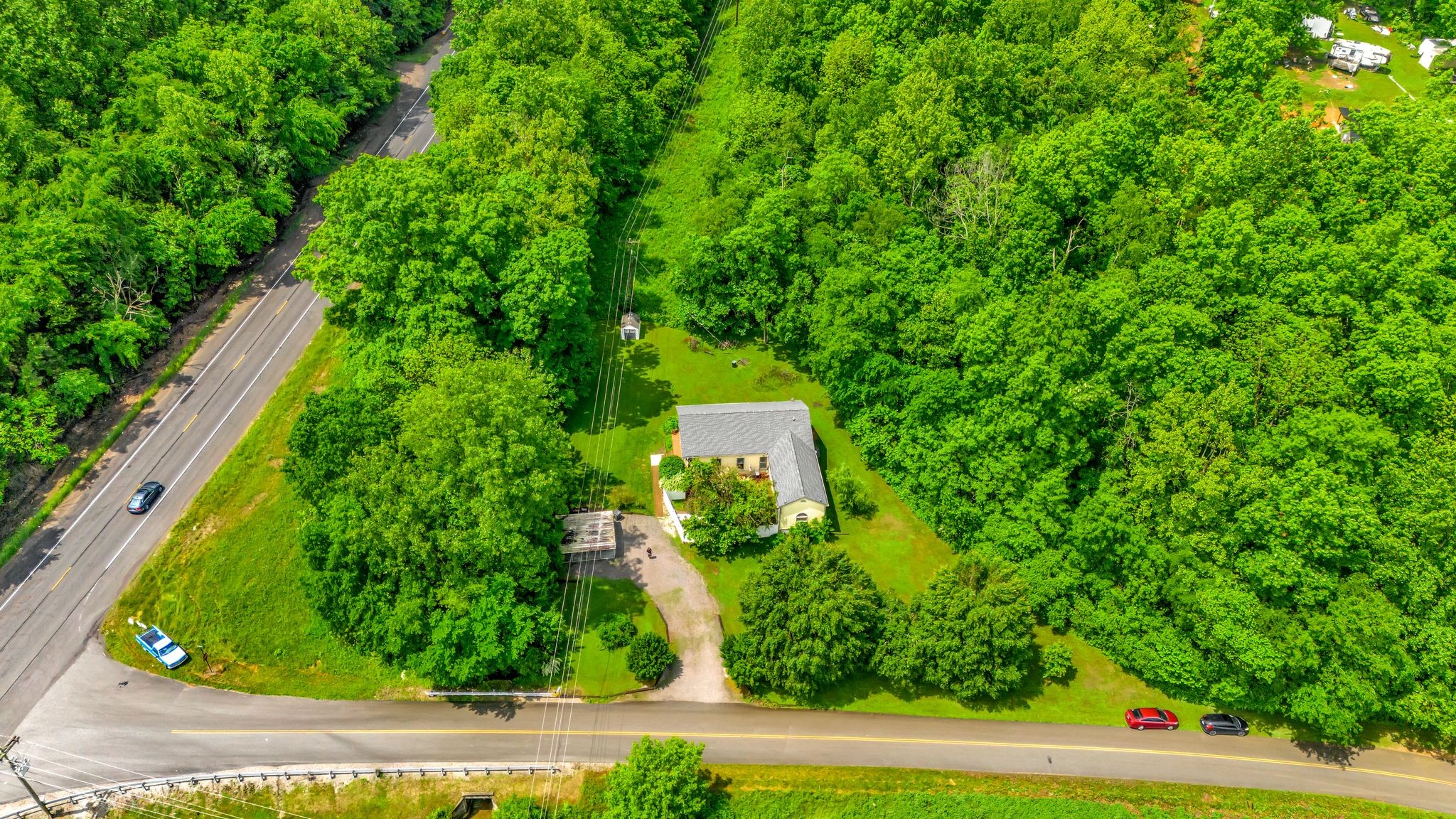 1005 Les Brown Road Bethpage, TN 37022 - Photo 6 of 57 a view of a yard with plants