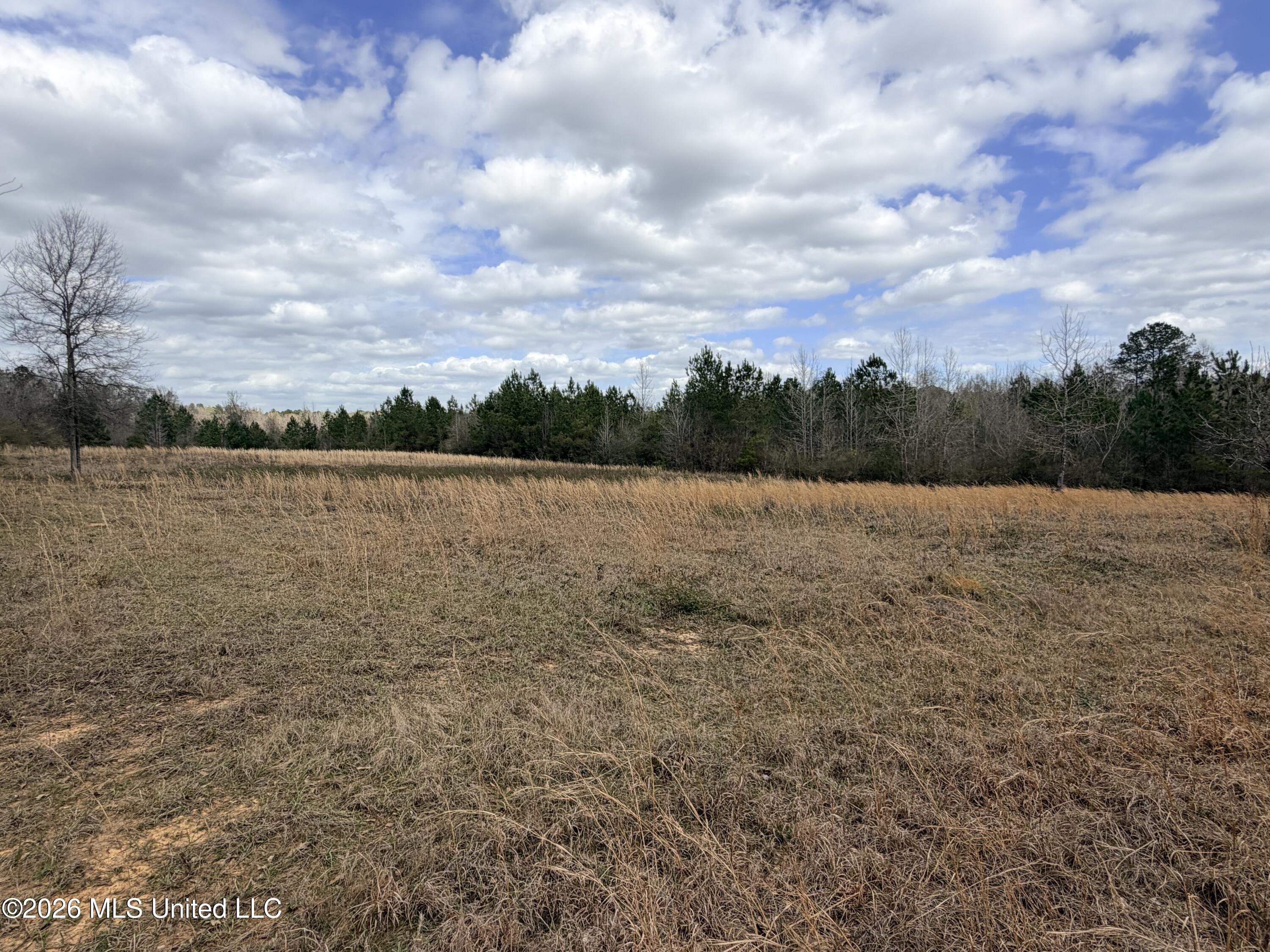 4056 Gibson Road McComb, MS 39648 - Photo 2 of 21 IMG_4562