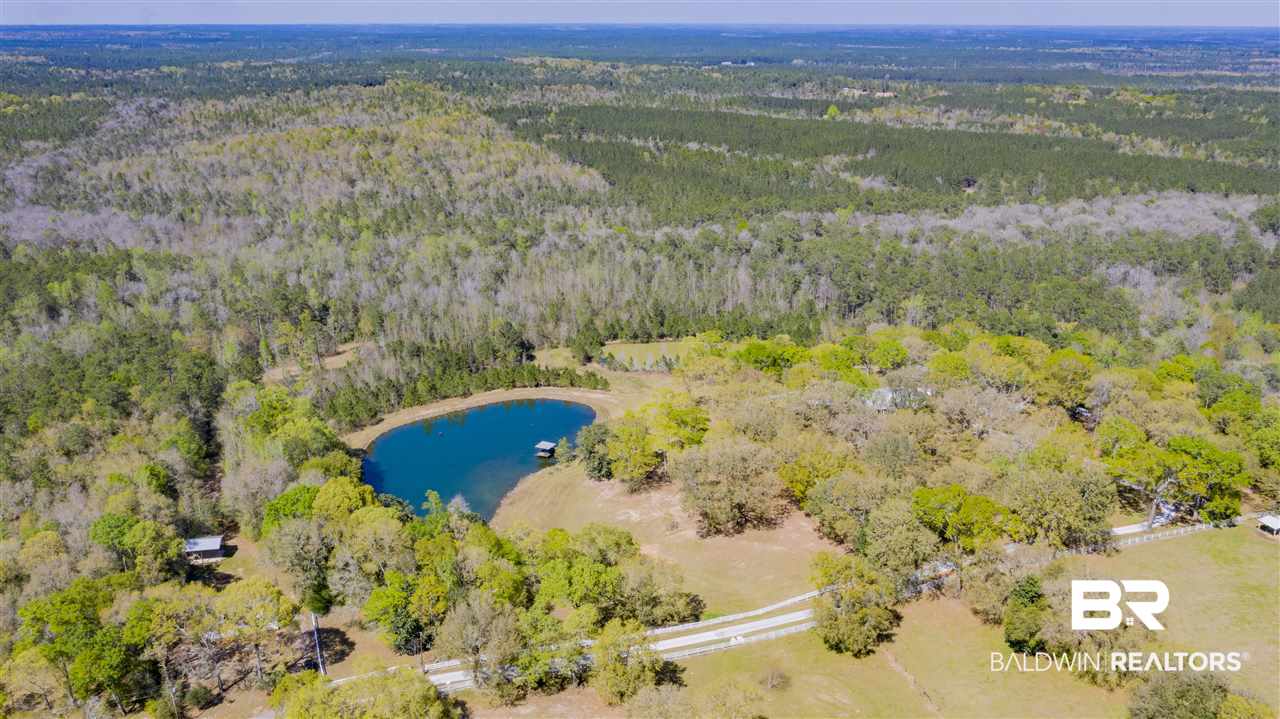 17401 Bee Gum Road Bay Minette, AL 36507 - Photo 46 of 46 Overview of Driveway
