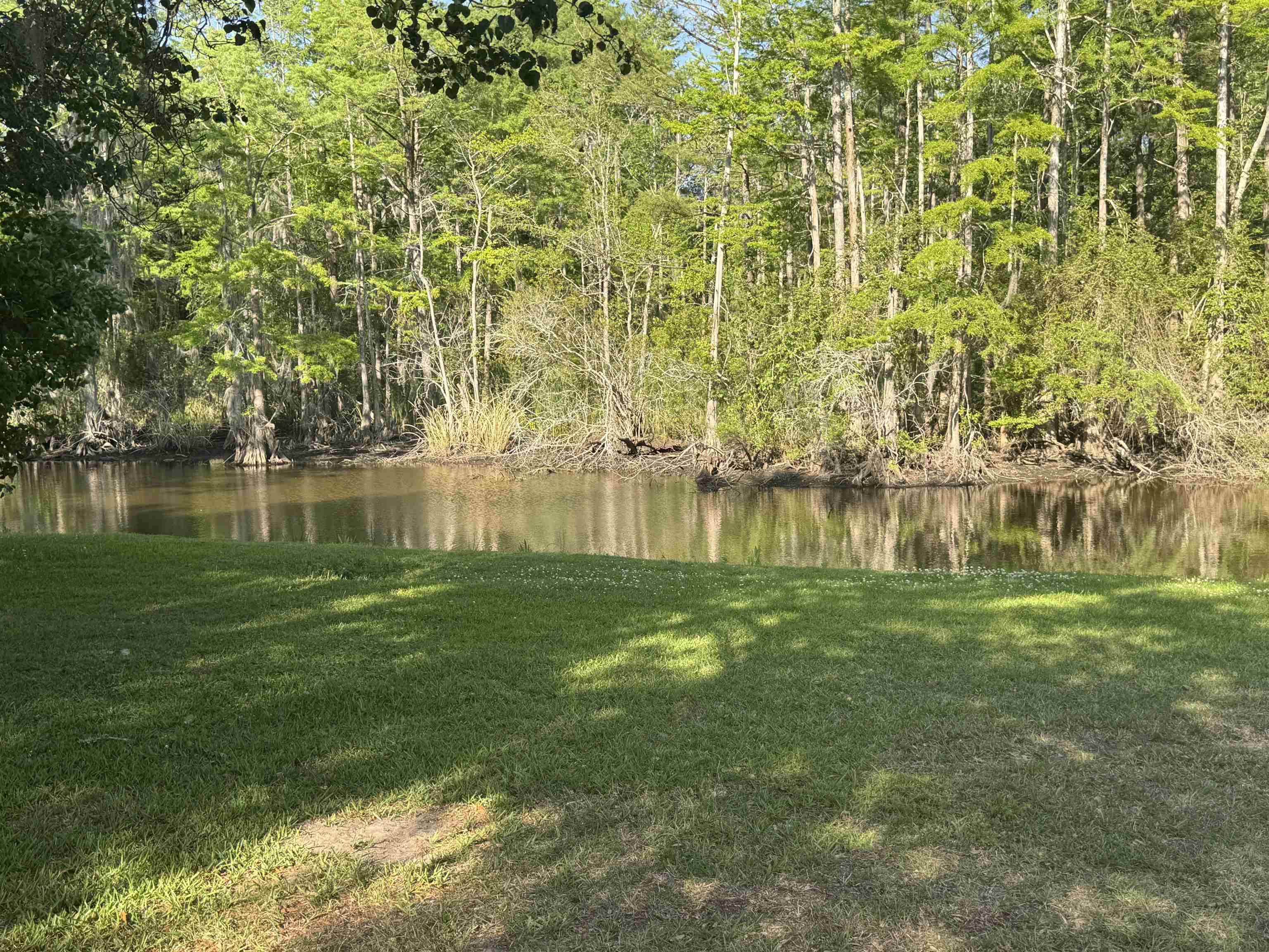 34 Wedgefield Village Road, Unit 51 Georgetown, SC 29440 - Photo 21 of 24