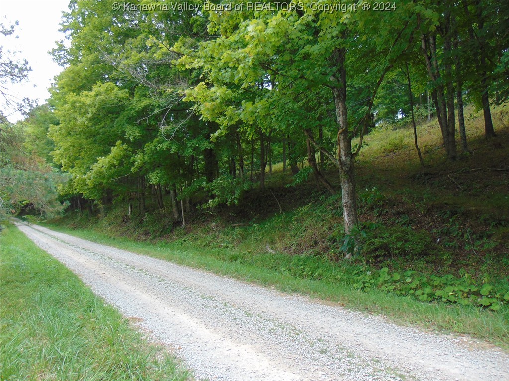 0 Logston Run Road Ravenswood, WV 26164 - Photo 7 of 8 Gallery Image 7