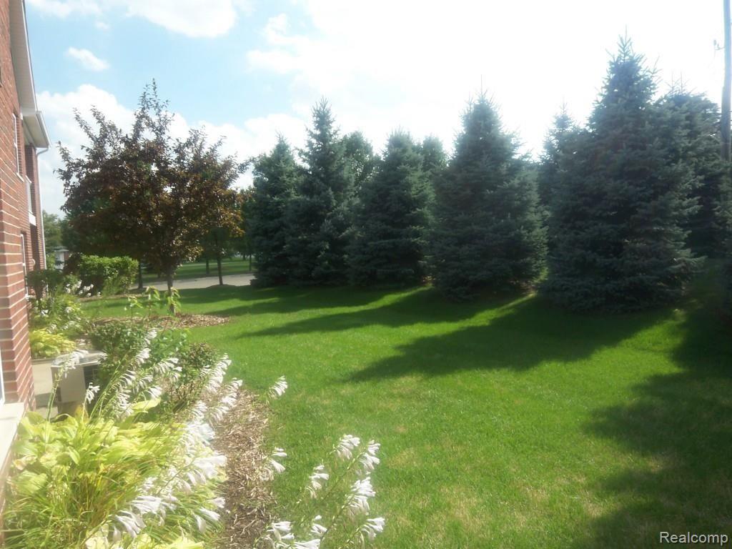 33500 Utica Road Fraser, MI 48026 - Photo 62 of 65 100_6598.jpg
