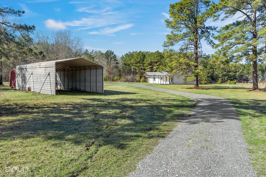 119 Stateny Lane Grand Cane, LA 71032 - Photo 36 of 40 a view of a big yard with large trees