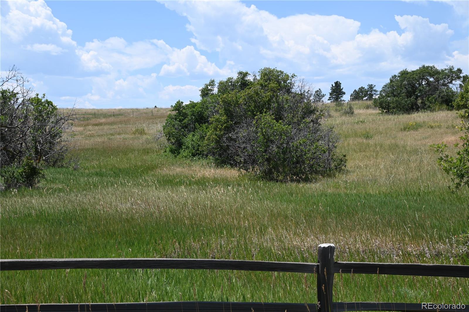 1579 Deerpath Road Franktown, CO 80116 - Photo 12 of 49